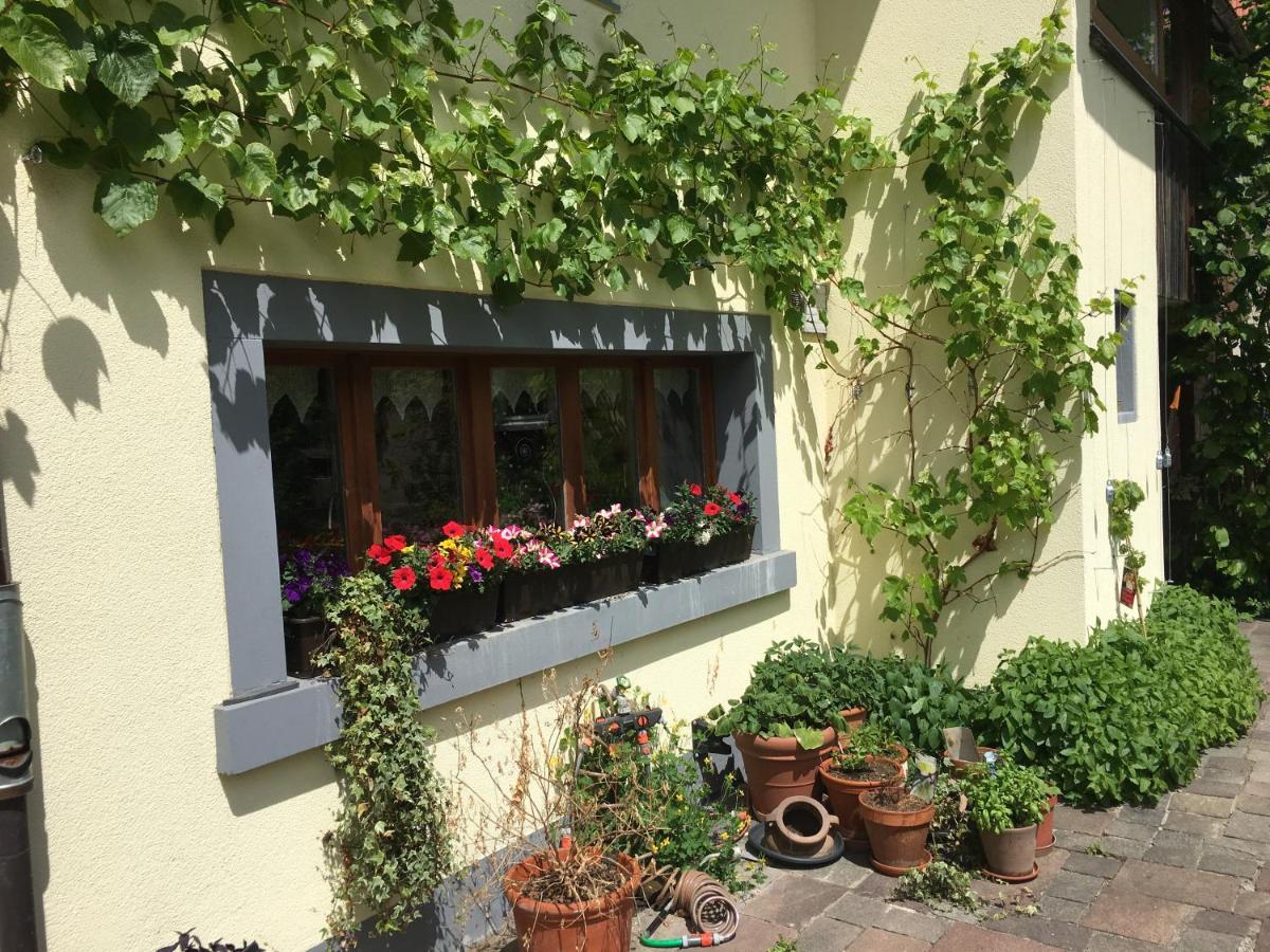Ferienhaus Mit Naturgarten Dachsen المظهر الخارجي الصورة