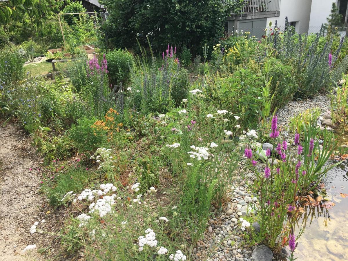 Ferienhaus Mit Naturgarten Dachsen المظهر الخارجي الصورة