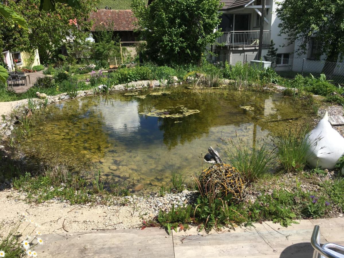 Ferienhaus Mit Naturgarten Dachsen المظهر الخارجي الصورة